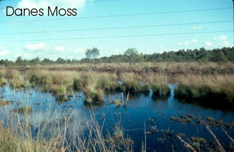 Danes Moss Peatland